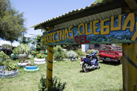 Un cartel de madera pintado con varios colores dice “Medicinas del Queguay”, atrás hay una camioneta roja, una moto azul y varias cubiertas de vehículos de distinto tamaño y pintadas de colores, con plantas adentro.
