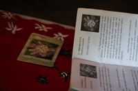 Un librillo con textos que refieren a plantas de la zona como la marcela y el mburucuyá.