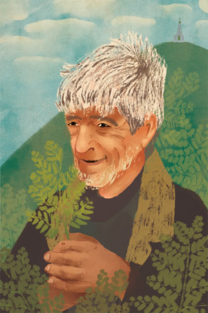 Ilustracion de Graciela, Perla, Lila y Pimienta